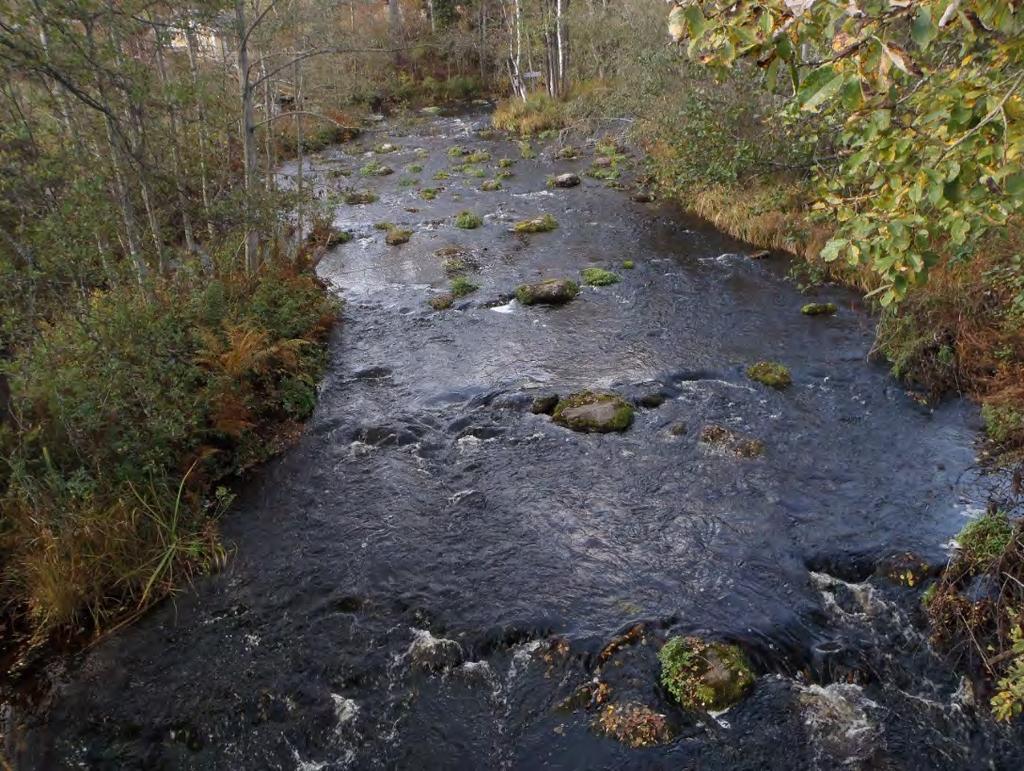 Rautajoen pohjaeläimistö ilmensi erinomaista kaikilla bioindekseillä (TT-, T-EPTh ja PMA) mitattuna. Pohjaeläimistö oli erittäin monipuolinen.