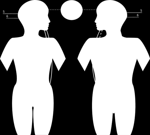 Sukupuolihormonit 1 FSH 2 LH 3 Progesteroni 4 Estrogeeni 5 Hypotalamus 6 Aivolisäke 7 Munasarja 8 Pregnancy - hcg (Human chorionic