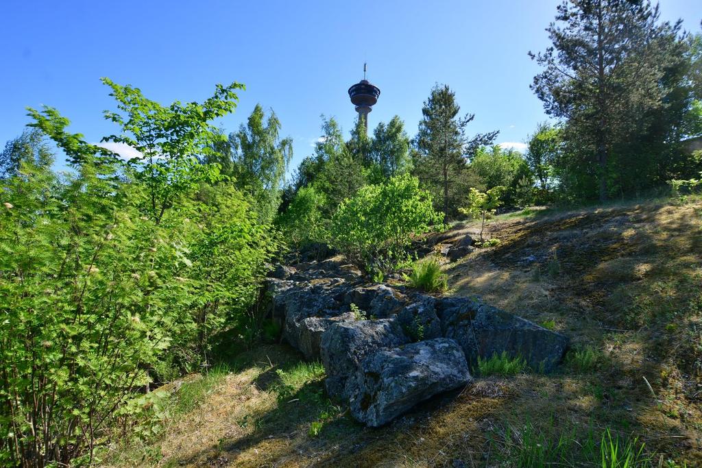 Onkiniemen oluttehtaan kiinteistölle (kuva 5). Tarkempia karttalähteitä rakenteen sijaintipaikasta ei kuitenkaan löytynyt Tampereen kaupungin arkistosta. Tampereen kaupungin rakennuskonttorin 31.7.