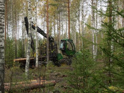 Kotipalvelu Tonttuperhe kilpailu Yrityskilpailu Veera Häkkinen Noora Ukkonen 1. Halkokummun 4H-kerho 2. Peiposjärven 4H-kerho 3. Naarajärven 4H-kerho 1. Vilin Verstas 2. Studio Estelle 3.