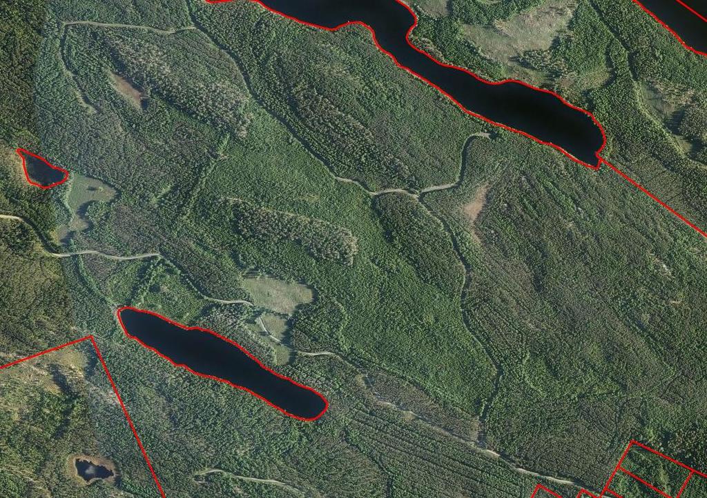 Suomen GPS-Mittaus Oy 1.2.2018 8/24 4 Luonnonolot, suojeltavat kohteet ja maisema Miettilän maa-ainesalue on avaamaton maa-ainesalue.