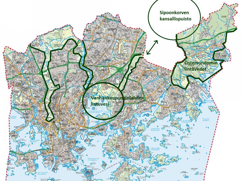 Vanhankaupunginlahti on kahden kapean viheryhteyden, Vantaanjokivarren ja Myllypuron-Kivikon, mereen rajoittuva osa (kuva 1).