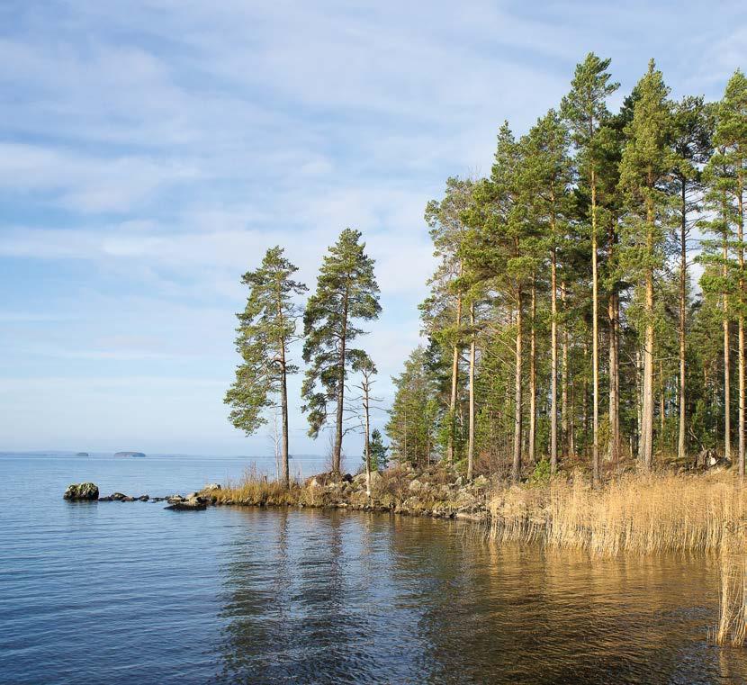 PEFC LYHYESTI PEFC PITÄÄ HUOLTA METSISTÄMME PEFC* on kansainvälinen metsäsertifiointijärjestelmä, joka edistää ekologisesti, sosiaalisesti ja taloudellisesti kestävää metsätaloutta kaikkialla