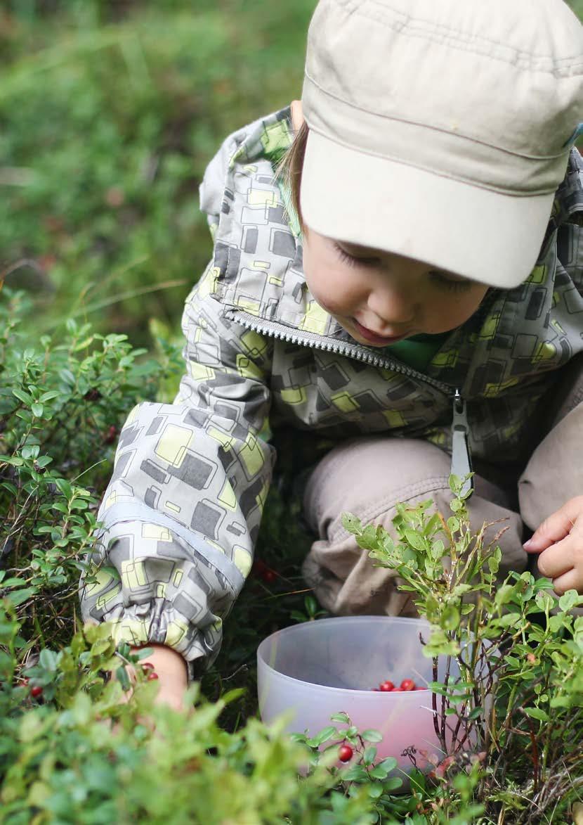 Metsien monikäyttö on tärkeä osa metsätalouden sosiaalista kestävyyttä.