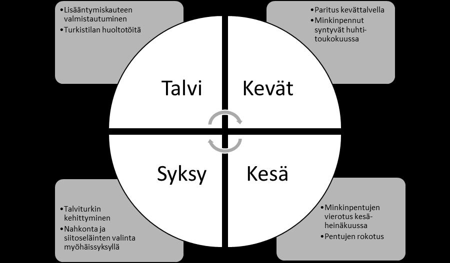 10 2.3 Minkkitarhan vuosikierto Minkkitarhalla tehtävät työt vaihtelevat vuodenaikojen mukaan (kuva 1).