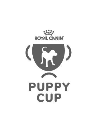 KENNELLIITTO JÄRJESTÄÄ ROYAL CANIN PUPPY CUP -PENTUNÄYTTELYIDEN SARJAN.