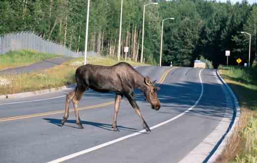 Tai jos tapahtuisi raju nokkakolari. Mitäpä jos nukahtaisit rattiin tai jos tapahtuisi kolari toisen auton kanssa tai jokin muu vakava vahinko.