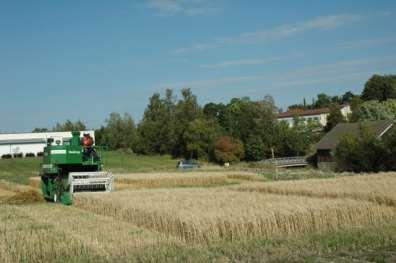 Perustamisvuonna 2015 kylvettiin