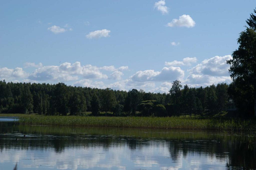 Näkymä Toholahden sillan juurelta Karjalan