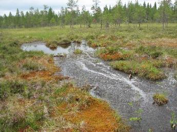 8/28 Kainuunkylänmaan pohjavesialueella tehtiin myös lähteiden inventointiin liittyviä maastotarkasteluja kesällä 2016.