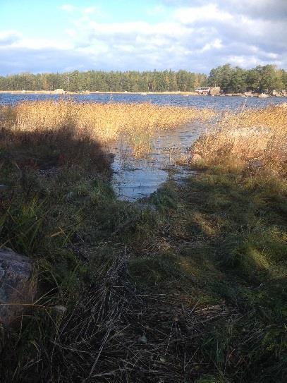 Kuivapallon asensin saunatupaan. Poistin myös aurinkokennovalaisimet pihapolun varrelta Ke 1.10.