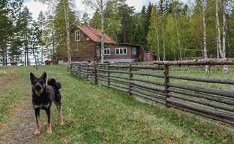 Pohjoispatterin ampumatarvikekomerot olivat samassa kunnossa kuin vuonna 2002. Kasarmirakennuksen perustalla kasvoi komeita koivuja. rella toimi kahden luokan alakansakoulu.