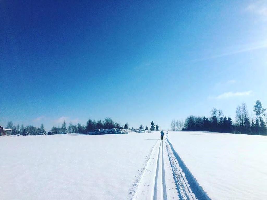 E L I N VO I M A I S U U S ELINVOIMAA SYNNYTTÄVÄT Yrittäjäaktiivisuus Tontti, asunto ja kiinteistö tarjonta Aktiivinen ja avoin vuorovaikutus kunnan, yrittäjien ja kolmannen sektorin toimijoiden