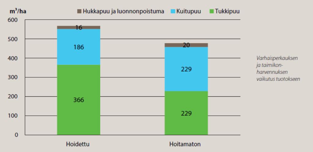 Sama kohde puuntuotoksen kannalta Oikea-aikainen taimikonhoito varmistaa istutustaimikon hyvän alkukehityksen Se pohjustaa koko kiertoajalle puuston hyvän kasvun ja mahdollistaa runsaan