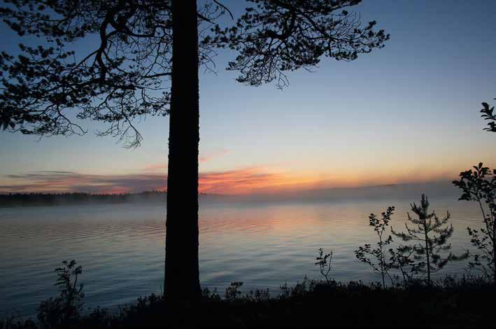 Säpsässä kohtasin karhun silmästä silmään, mutta ei se kerran paikalta pois rynnättyään tullut yöllä teltan vetoketjua raapimaan.
