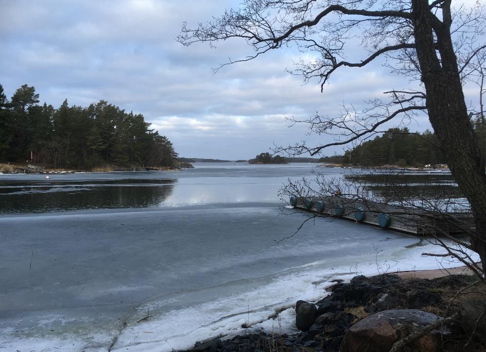 MUUTOS 2 Program för deltagande och bedömning