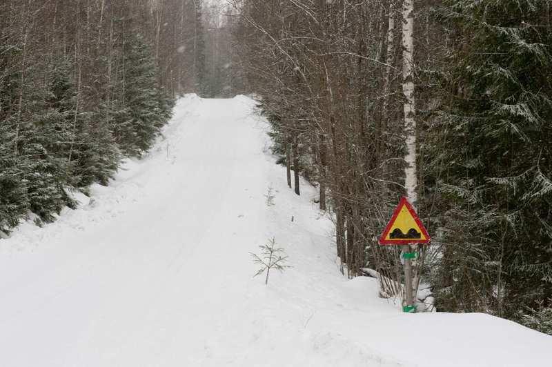 EMIL BOBYREV Vielä toistaiseksi Toivion takamailla kasvaa tiheä metsä. Kuva on Keskisentien varresta.