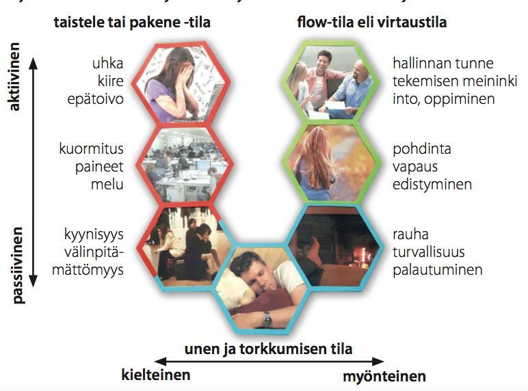 Kuva kirjasta Huotilainen ja Peltonen: Tunne