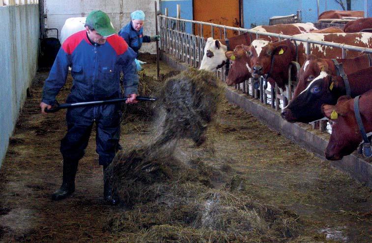 Lypsykarjatiloilla miehet ja naiset tekevät tyypillisimmin kaikkia karjanhoitotöitä. Siitä ei ole kuitenkaan tietoa, jakautuvatko yksittäiset karjanhoitotyöt tasan miesten ja naisten kesken. Liite 1.