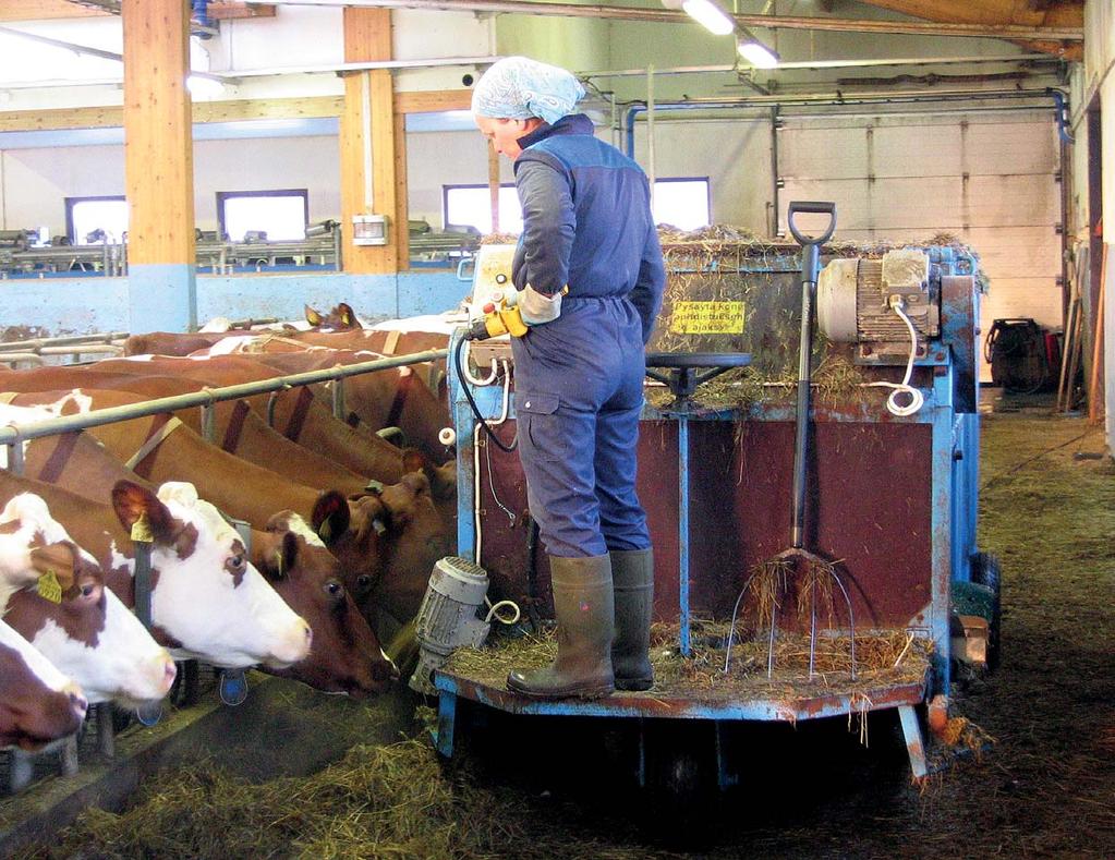 Normaalipaino suojaa myös maatalousyrittäjiä tuki- ja liikuntaelinsairauksilta. Ruumiillinen maataloustyö voi auttaa ylläpitämään hyvää lihaskuntoa.