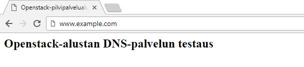 Ubuntu Server -virtuaalikoneen IP-osoite, jossa Apache http -palvelimen ylläpitämä verkkosivu sijaitsee. DNS-palvelun toimintaa testataan ensiksi dig-komennon avulla (liite 21).