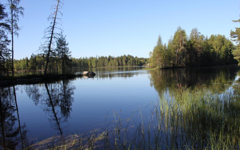 .. Luonnonympäristö Enon taajaman maastomuodot ovat erittäin vaihtelevat. Korkeimmat kohdat ovat ev.lut. seurakunnan kirkon ja vesitornin alueet, korkeimmillaan + mpy.