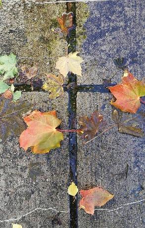 JYVÄSKYLÄ VENÄJÄNKIELINEN PERHELEIRI 17.-19.8. Jyväskylän ortodoksinen seurakunta järjestää venäjänkielisen perheleirin Pyhäkankaan leirikeskuksessa Uuraisilla.