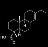 Once exposed to atmospheric conditions, the volatile turpentine evaporates leaving the diterpenoid resin acids.