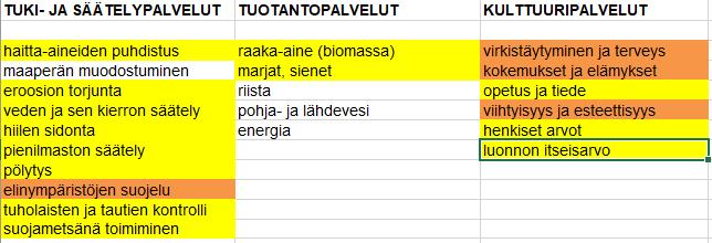 Arviointitekijöiden (ekosysteemipalvelujen) merkittävyyden arviointi Jyväskylän kaupungin metsissä. Oranssi = hyvin merkittävä, keltainen=kohtalaisen merkittävä, ei väriä=vähän merkittävä.