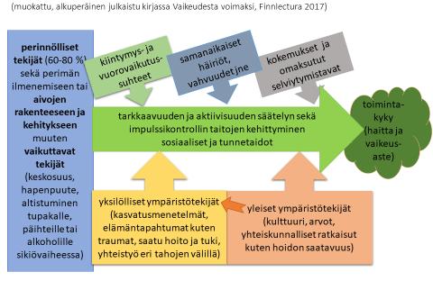 ADHD-oireisiin vaikuttavia seikkoja Anita Puustjärvi