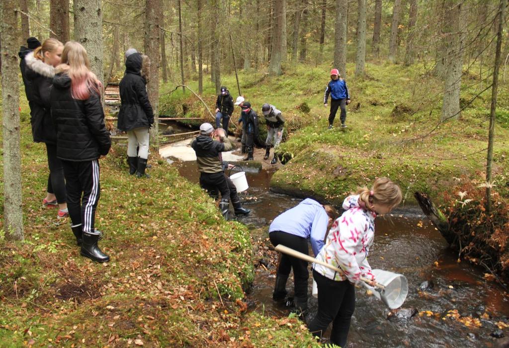 Osallistutaan Ahdin valtakunta dokumenttisarjan tuotantoon Tapahtumia tulossa: World Fish Migration Day 2018