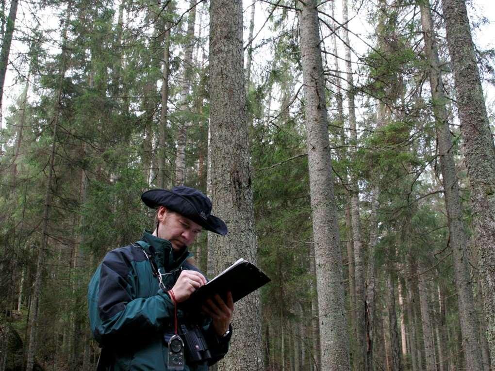 10. Laskennan toistaminen Mielellään joka kesä, vähintään kahdesti 5 v:ssa Sama laskenta-aika (korkeintaan 7 vrk heitto) Sama lähtöpiste,