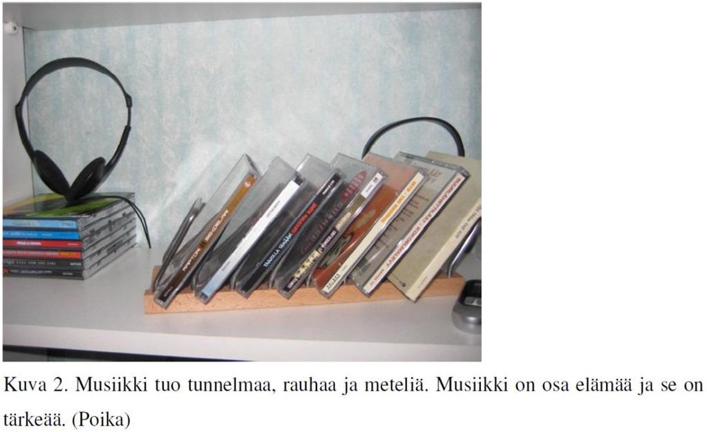 2002; Maisel 2012) antavat eväitä