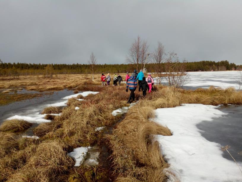 TOIMINTAYMPÄRISTÖ Vihannin 4H-yhdistys on Suomen 4H-liiton jäsenyhdistys. Paikka- ja seutukunnalla 4H-yhdistys on jäsenenä Nouseva Rannikkoseutu Leader -toimintaryhmässä.