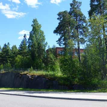 Pohjoiseen mentäessä Otaniementietä rajaa kallioleikkaus, jonka päällä kasvaa luonnontilaista sekametsää ja muutama näyttävä yksittäinen mänty.