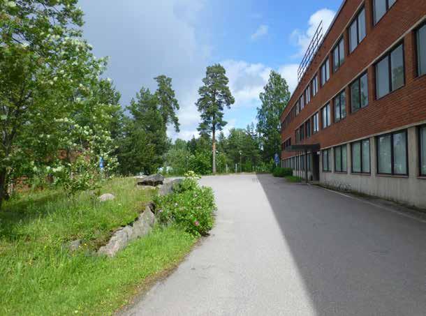 5 Kivimiehen alueen maisema 5.2 Viheralueiden ominaispiirteitä 5.