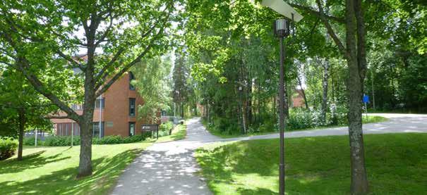Graniittinen avokallio on hyödynnetty osana piha-aluetta.