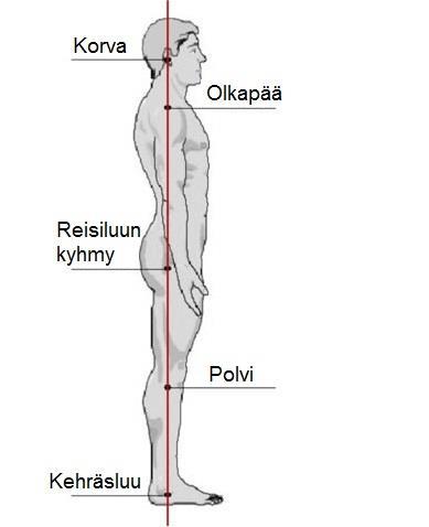 11 3 ÄLYLAITTEEN KÄYTTÖ JA SEN VAIKUTUS RYHTIIN JA KEHON KUORMITUKSEEN 3.