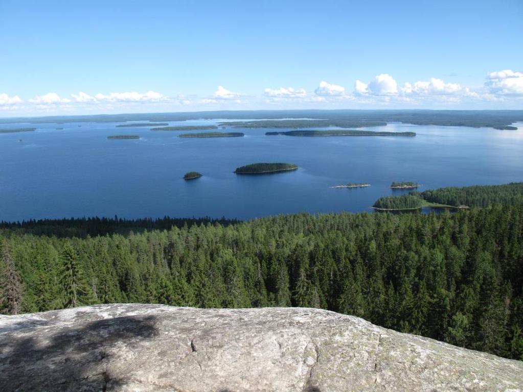 inventointeja. Ekosysteemeistä ajan myötä kertyvän, samoin kuin muunkin myöhemmin saatavan uuden tiedon osalta on varauduttava tarvittaessa tarkistamaan luokitusta.