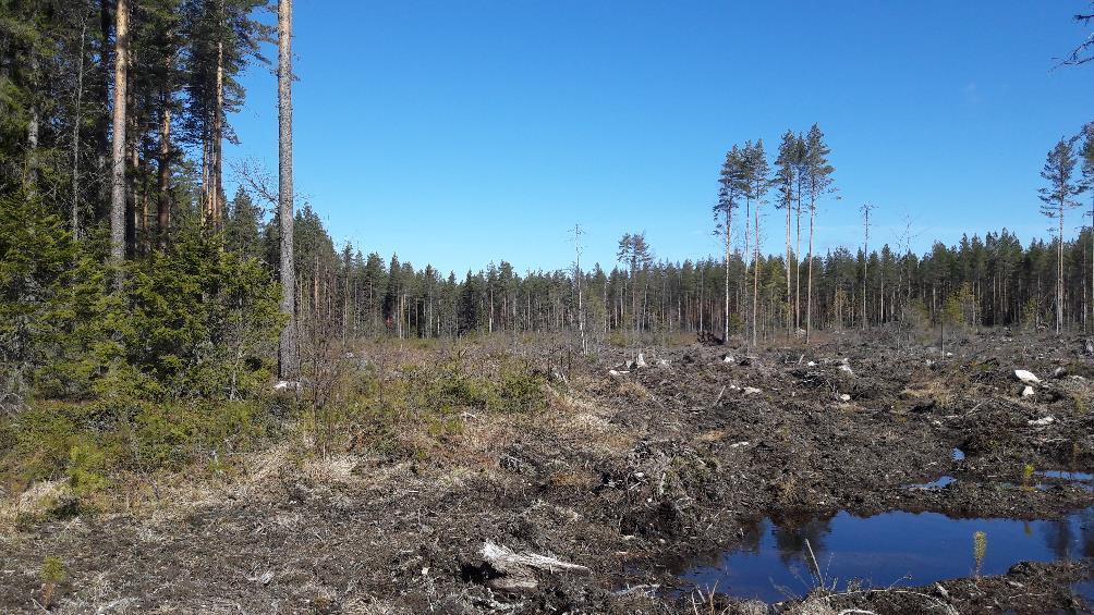 2. Topografia, tutkimushistoria ja alueen käyttöhistoria Keiturinvuori sijaitsee Virtain keskustan koillispuolella ja sen ympäristö rajautuu pohjoisessa junarataan, lännessä Toisvedestä Vaskiveteen