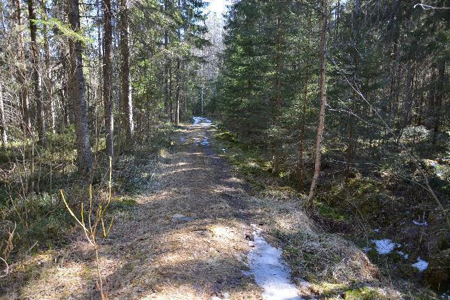 Keiturinvuoren itäpuolella kulkee pohjois-etelä -suunnassa Pirkan Taival retkeilyreitti. Maasto on vaihtelevasti kallioista ja mäkistä metsämaastoa, jonka läpi kulki metsätietä.
