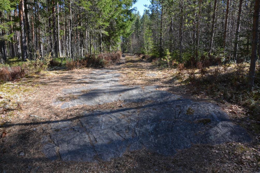 Kuva 3. Kalliopaljastuman yli kulkevaa metsäautotietä. Kuva: Ulla Moilanen, KYY 260: 9. Virrat on ollut osa Suur-Ruoveden pitäjää vuoteen 1974 saakka.