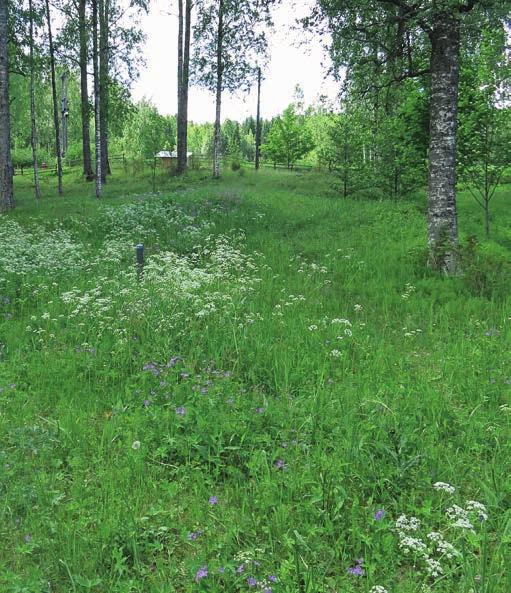 muualla melko vaikeapääsyisissä paikoissa.