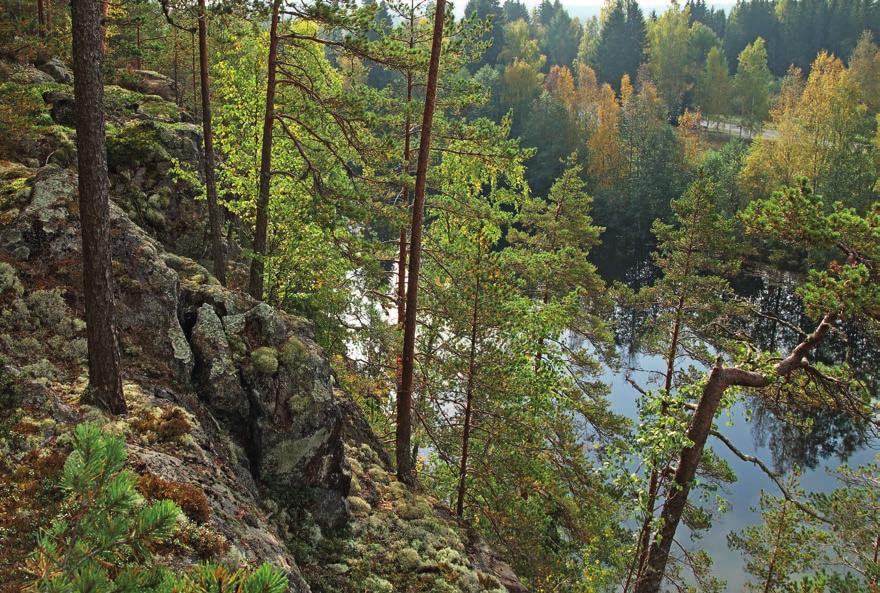 Saukko SISÄLLYSLUETTELO LUKIJALLE Lukijalle 3 1. Torisevan rotkojärvet 4 2. Lakarinharju 6 3. Myllyojan metsäluontopolku 7 4. Herraskosken seutu 8 5. Makkaraoja 9 6. Raiskinkallion rotko 10 7.