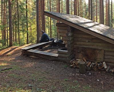 Runebergin arvellaan myös viitanneen Torisevan järviin Vänrikki Stoolin tarinoissa. Akseli Gallen-Kallelan tiedetään niin ikään maalanneen Toriseva-aiheisen teoksen.