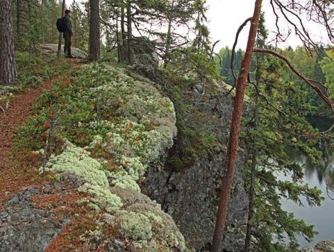 Uudemmasta taidetuotannosta voi mainita Alaisen-Torisevan rannalla, Inkerinkalliota vastapäätä, vuosina 1995-1997 esitetyn Karhuoopperan.