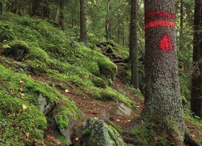 Järvien äkkijyrkät kalliot näkyvät paikoittain hyvin myös kantatielle. Keskisen-Torisevan syvimmän kohdan on sanottu olevan noin 37 metriä, mutta muutkin rotkojärvet ovat syviä.