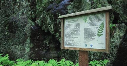 Auton voi jättää Lakarinharjun vieressä olevalle leirintäalueen pysäköintialueelle.