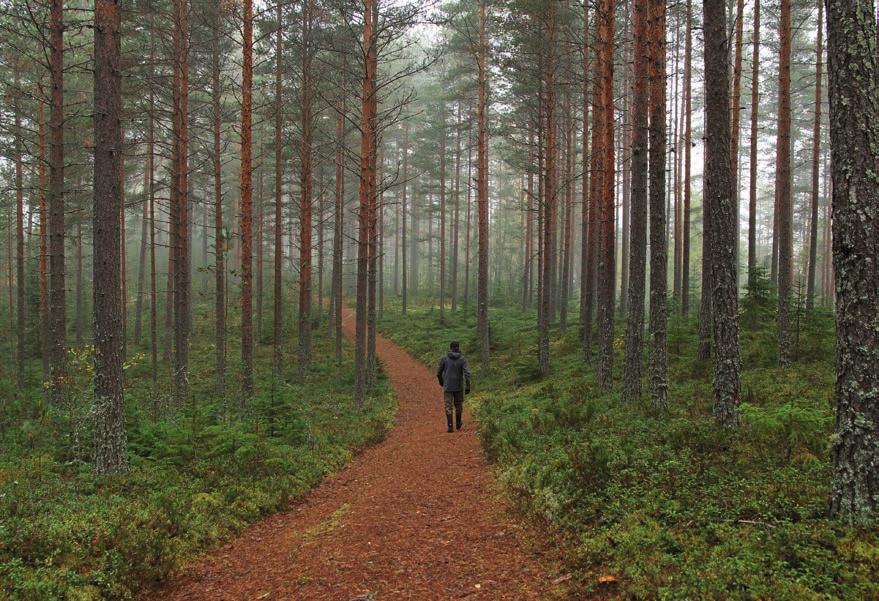 Alueella on vaihtelevassa maastossa kulkeva luontopolku, joka on lähes 2 kilometriä pitkä.