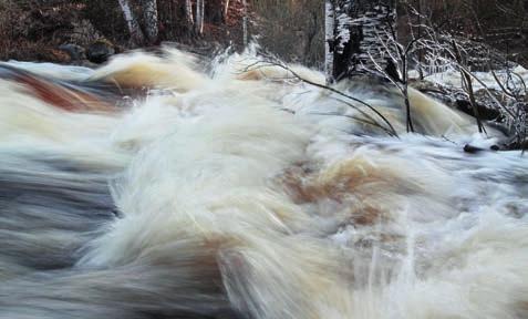 Virtaavassa vedessä tai Vuolteen rannalla voi tuolloin nähdä koskikaran, saukon tai erilaisia talvehtivia vesilintuja.